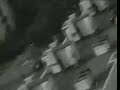 Neutrale Erde - Das Nordlicht