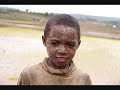 www.madagascarica.com Le riz ( Ny vary ) La culture du riz joue un rôle primordial dans la vie malgache. le riz représente l'aliment de base de la population En dehors de l'Asie, Madagascar est l'une des plus anciennes régions de riziculture. Les systèmes de production de riz aquatique sont bien développés et les rizières en terrasses sont fréquentes le long des routes entre Antananarivo et Antsirabe. La culture du riz s'observe dans tous les districts du pays. La campagne de riz principale dans la région des hauts plateaux dure d'octobre à mai. A Hosy, sur la côte est de Madagascar, la campagne de riz irrigué dure de juin à novembre, alors que sur la côte ouest la récolte de riz va d'avril à octobre. Les récoltes de Vatomandry et d'Asara durent d'octobre à mai, alors que la récolte Atriary de bas-fonds ou à irrigation moyenne dure de janvier à juillet. Le 