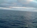 Strange lights shoots out of the sea!!! Strange lights shoots out of the sea!!!