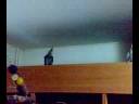 Versteckspiel
