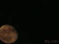 lihy moon surprize