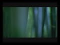Robert McNamara - The Palace