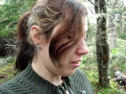 how to harvest porcupine quills
