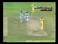 ALLAN LAMB BASHES BRUCE REID
