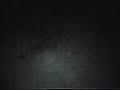 ghost like paranormal aparition passes through tree trunk