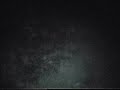 ghost like paranormal aparition passes through tree trunk