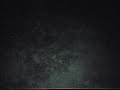 ghost like paranormal aparition passes through tree trunk