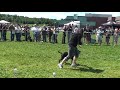Miska en freestyle le 9 août Terrebonne Miska en freestyle le 9 août Terrebonne