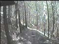 Steinach Downhill JuFo