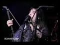 bc-rich-wasp.html