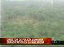 Colombia Rises