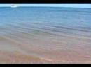 Ocean Waves of Portsmouth Dominica