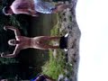 jump in freezin water jump in freezin water