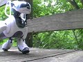 One Way Ticket - an aibo adventure