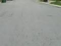 videos de Ducky 2