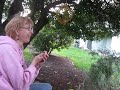 Neighbor tootin' his horn-trumpet