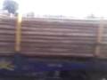 videos de 28-12-08 1724 um retrato da triste e cruel realidade de nossas ferrovias