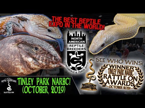 YouTube reptile video