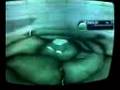 Pokemon XD Orre Colosseum Eldes WHITOUT EXPLOSION