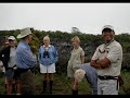 galapagos