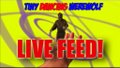LIVE-FEED-from-Tiny-