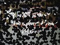 Blind Bo Staff Form - Brandon Blind Bo Staff Form - Brandon