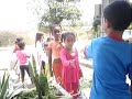 doces de cosme damiao
