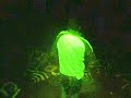 Stranger In Moscow Video Project Preview