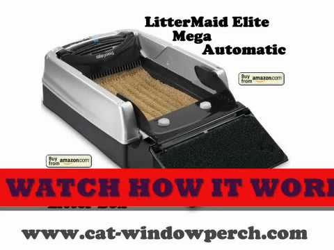 how to control odor from litter box
