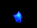 Blue Fire