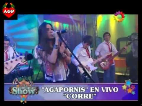 agapornis - Agapornis en la cocina del show 4 de agosto de 2012 ( Mini Recital Completo ), señal de