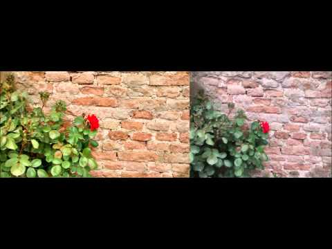 how to make moto g camera better