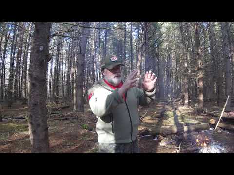 MRK460 what is global marketing 4Ps use Google News