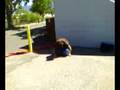 me jumping off wall