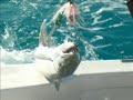 Deep Sea Fishing - Cancun 2006