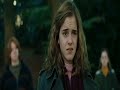 Family Guy wavs Harry Potter Style