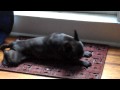 How Johnny Cash Stays Warm