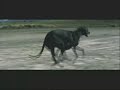 Track Tim Montgomery Nike Commercial