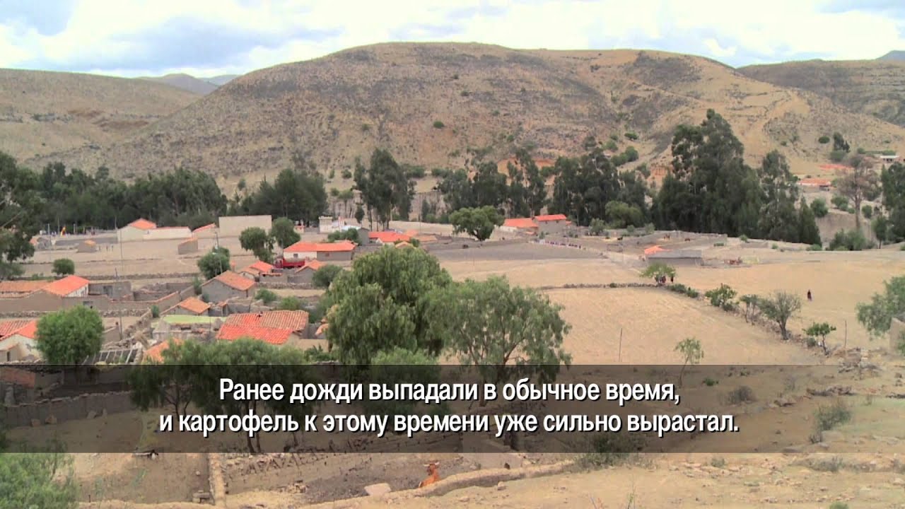 Боливия: урожай в опасности