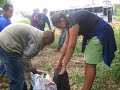 projeto adubo orgânico e horta   2008