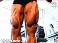 USAMuscle-com-Prime-