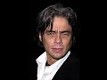 Benicio del Toro Benicio del Toro