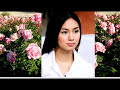 Dahil Sa Isang Bulaklak - Jun Polistico