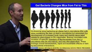 Leaky Gut Leaky Brain: How Gut Problems Create Bra