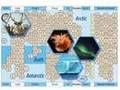 International Polar Year - Overview
