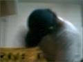 Fernandito's Dance