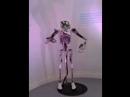 Clever Robot