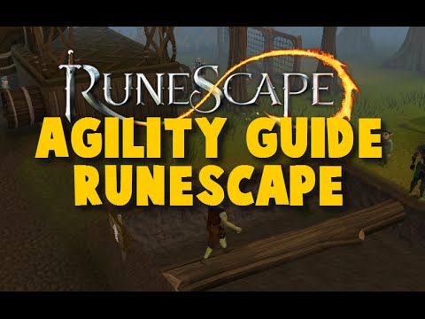 how to train agility 1-99