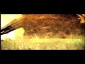 armored core 4 trailer