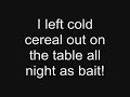REAL GHOST CAUGHT ON CAMERA EATING MY CEREAL! ;)